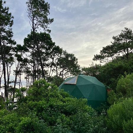 Domosdemar A 100 Mts Del Mar Ξενοδοχείο Ocean Park Εξωτερικό φωτογραφία