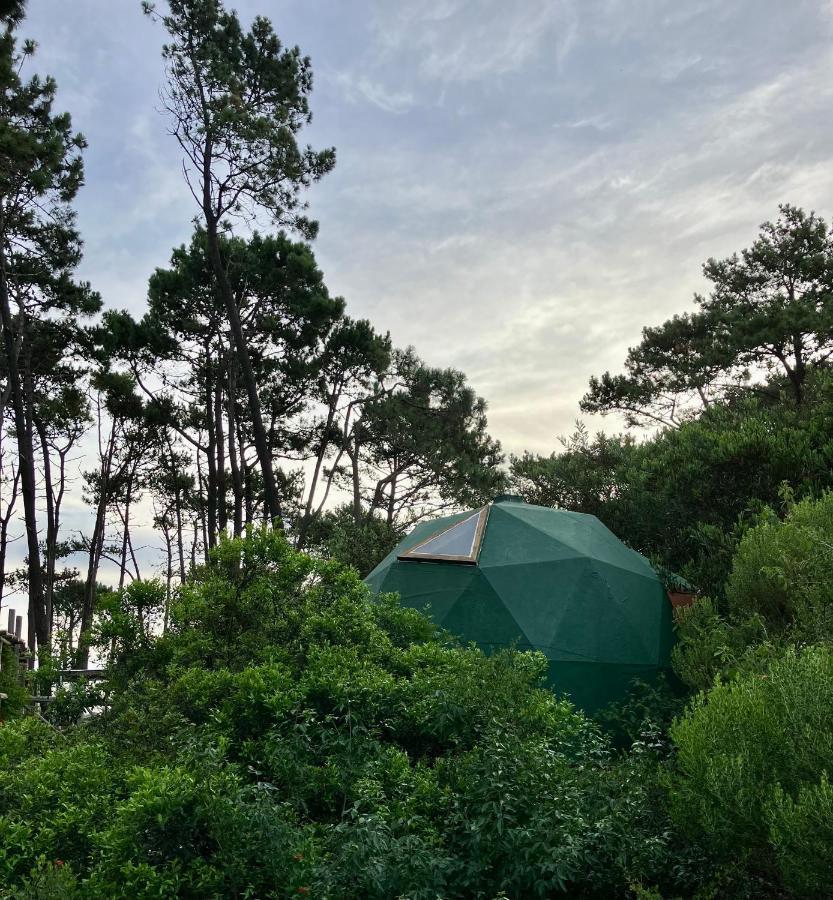 Domosdemar A 100 Mts Del Mar Ξενοδοχείο Ocean Park Εξωτερικό φωτογραφία