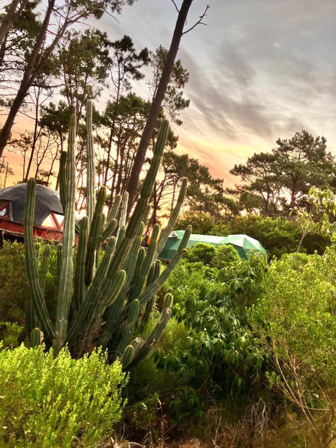 Domosdemar A 100 Mts Del Mar Ξενοδοχείο Ocean Park Εξωτερικό φωτογραφία