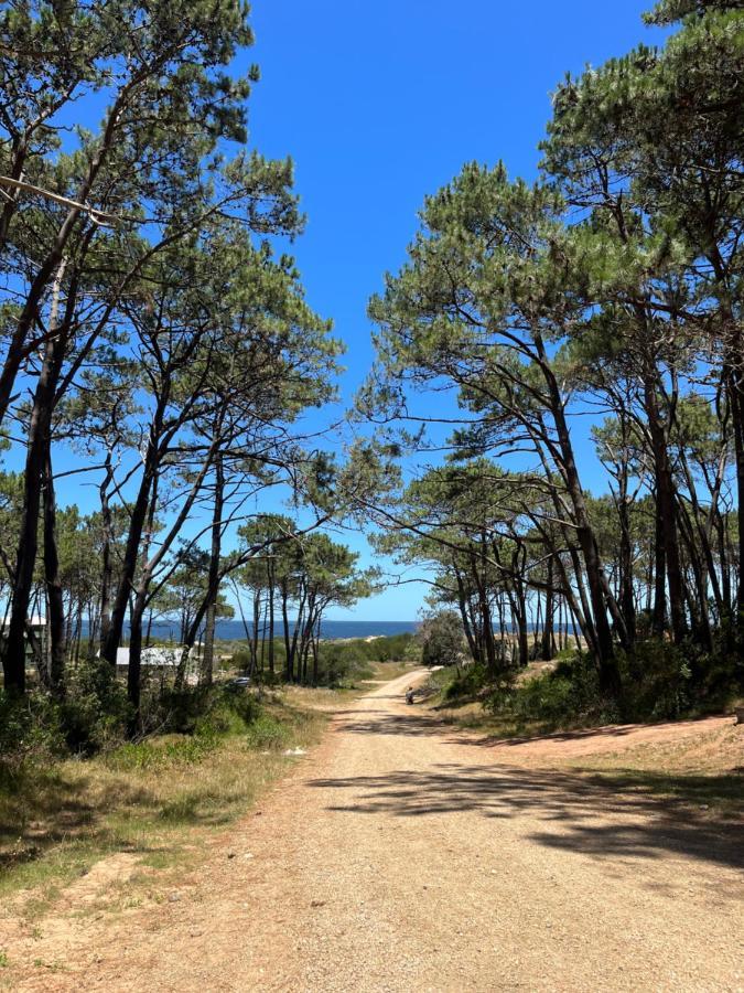 Domosdemar A 100 Mts Del Mar Ξενοδοχείο Ocean Park Εξωτερικό φωτογραφία